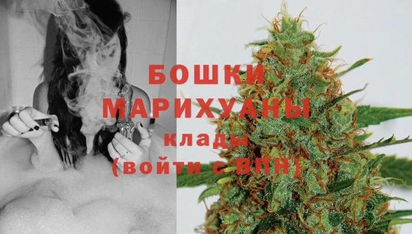 индика Баксан