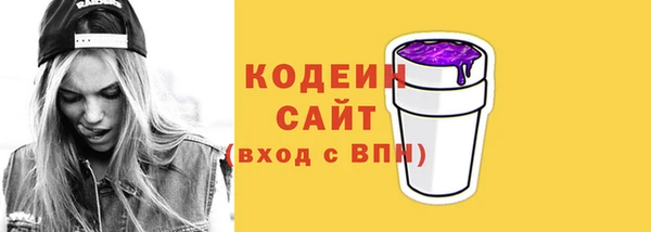 индика Баксан