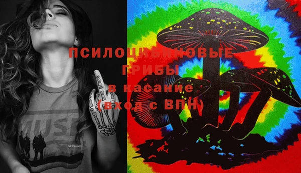 ПСИЛОЦИБИНОВЫЕ ГРИБЫ Балахна
