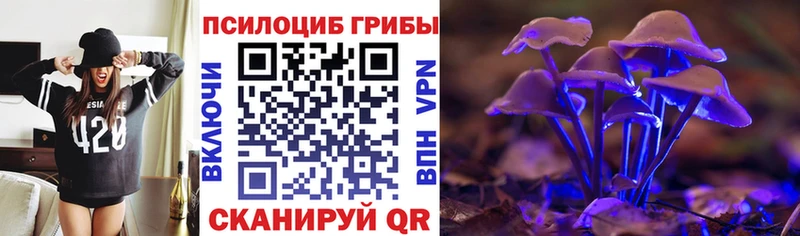 закладка  Бежецк  Галлюциногенные грибы MAGIC MUSHROOMS 